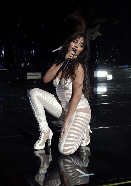 Camila Cabello 58c2c94691d1973cb