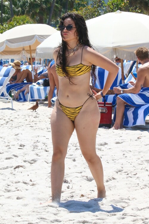 Camila Cabello Bikini Pics April 2025