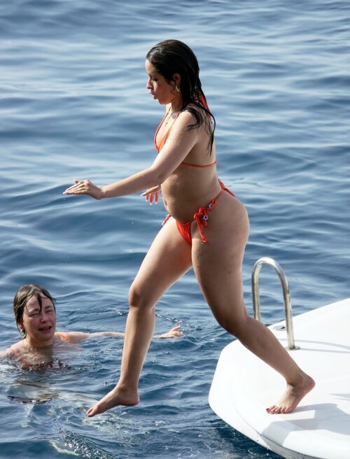 Camila Cabello New Bikini Pic Part 3