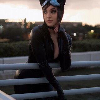 Catwoman-204383c4b90ddc2555