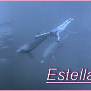 CelebrityBottomsi-EstellaWarren-Innocence-nudeswimming