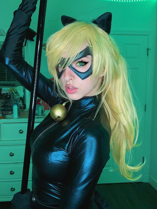 Chat Noir 2