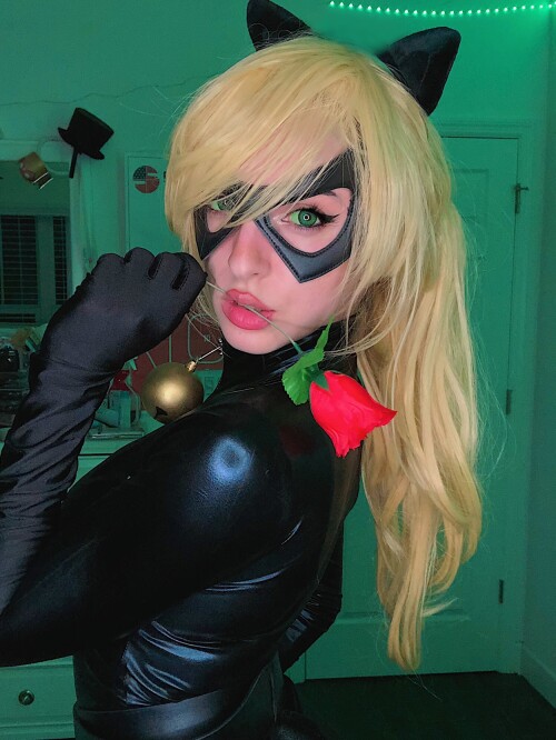 Chat Noir 3