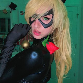 Chat-Noir-3e052f4d4f1181190