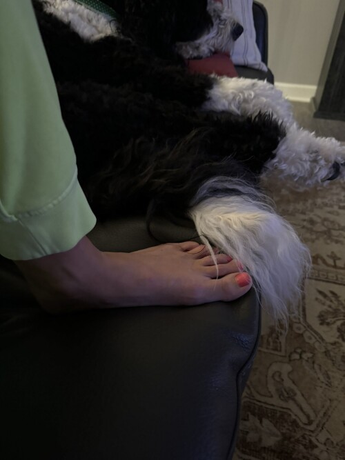 Chelsea Green GZfWavXWIAw5PqMb532bc179287a1cf