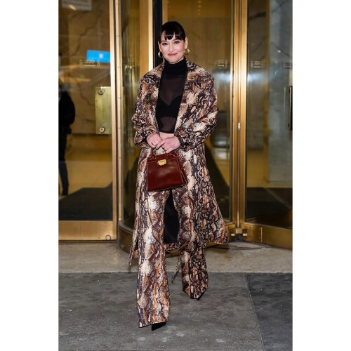 Chyler Leigh Snake skin See through8e11695a185a2ced