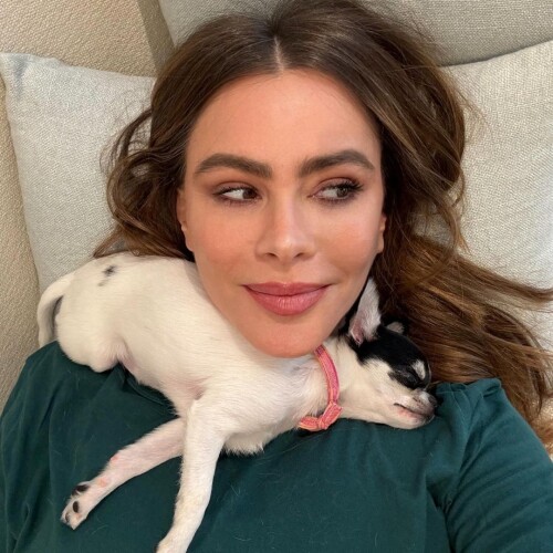 Ckhql2M46G805e95815252dfee5