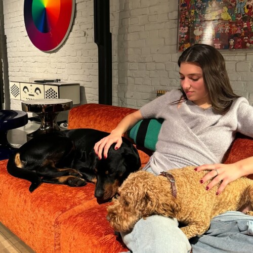 ClipDown.App 497601903 18529083334043196 2850004890673216630 nc07080d7869f9df9