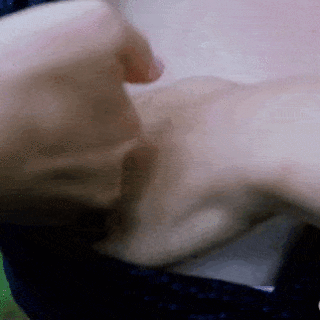 CommonLimpingChafer-mobile