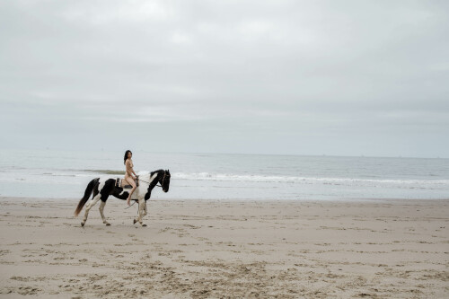 D99FD8DD 2D1A 4F6B 8696 C7F93AB13160