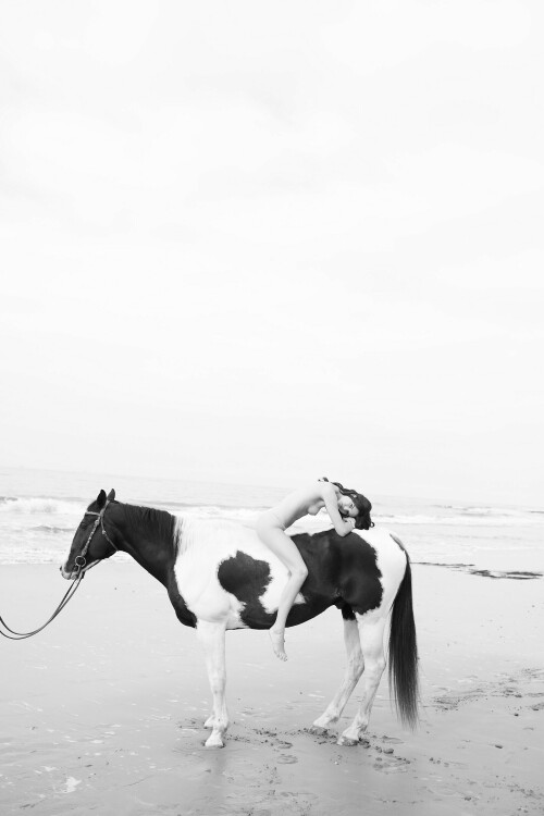 DA34DCA4 D2F5 4560 9FA8 5F417F489128