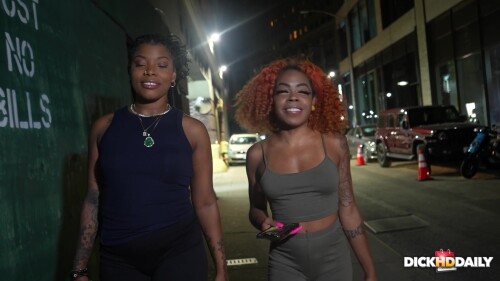 DHDD.231216 01f95e0844632ce08d