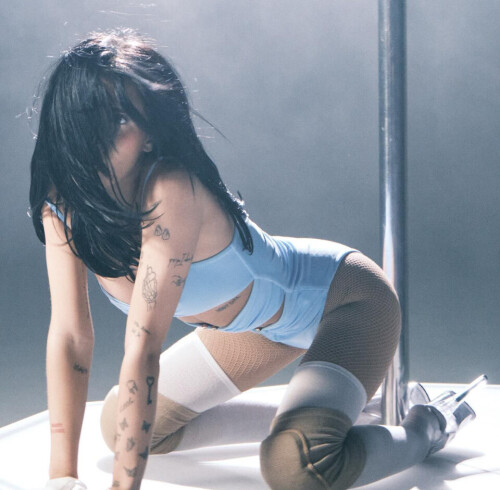 DLS438a7ac2ae38ed652