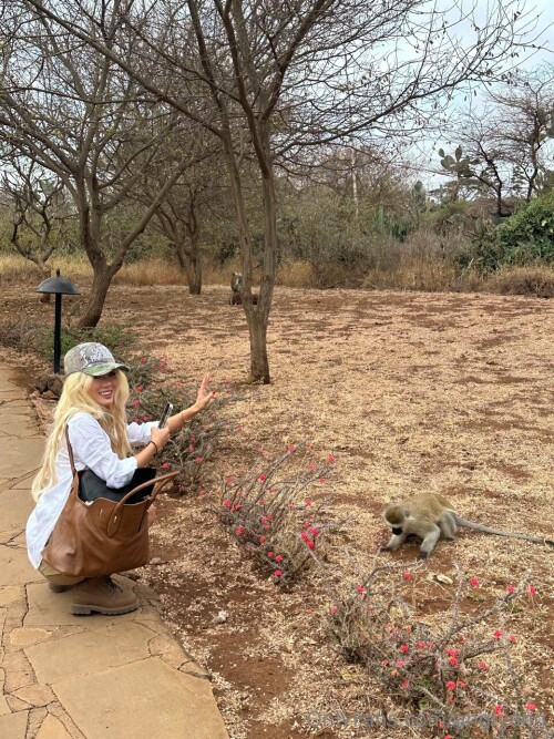 DM 20250813011807 005fdbf356104184c47