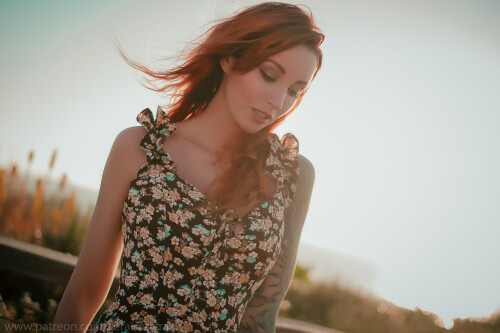 DSC0048656a00177e1b01a15