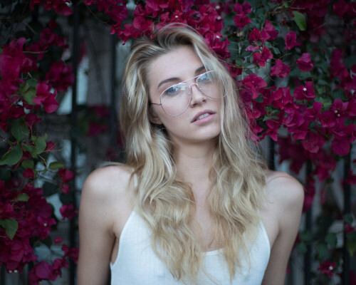 DSC00499c8444b82e336ecda