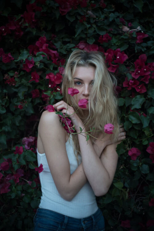 DSC005701226fe2919a6e8d2