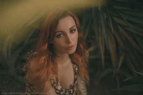 DSC0062540dc6b4bc38fc983