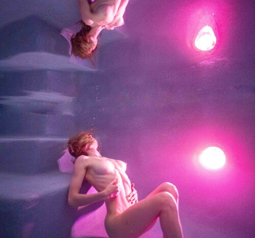 DSC006690d2030d2c78c253b