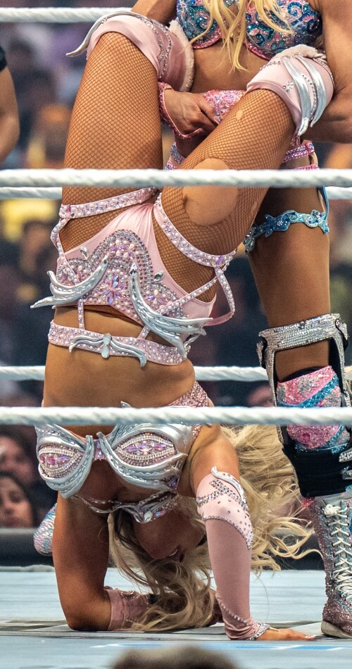 DSC03432-X5e69e3d45a2d8d6ca