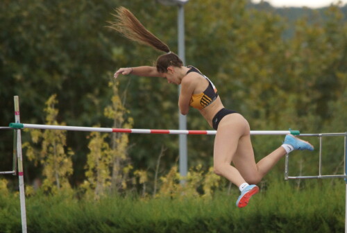 DSC03677bc8512f00b05b972