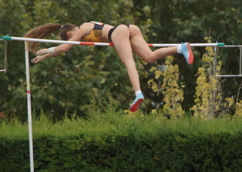 DSC03848ee31f7beb755e102