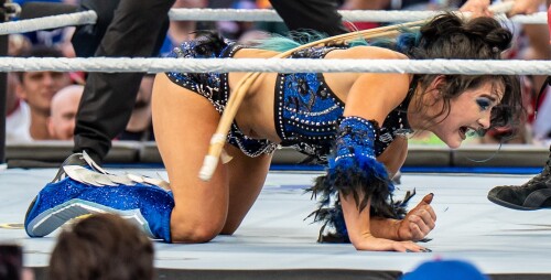 DSC06575-X53afe676af6595680