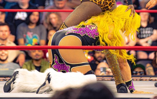 DSC07558-5Kcd61e83d7f49f8fa