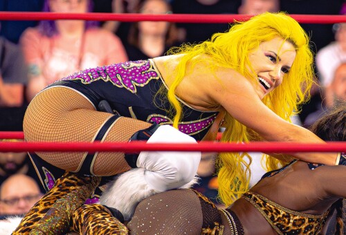 DSC07658-5K528a8de7a9f1fc87