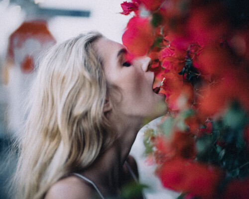 DSC096303bb60fb0e87eb5d3