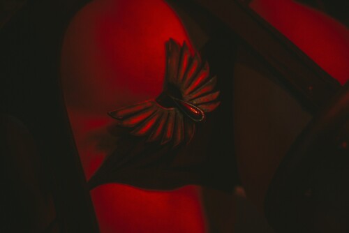 DSC 4390989f787b262fd809