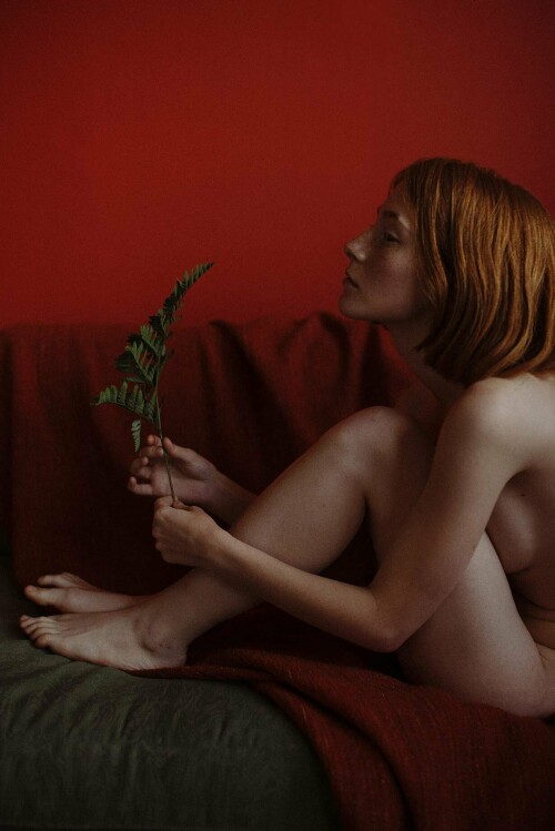 DSC_625337cb2d3bd5eb80a3