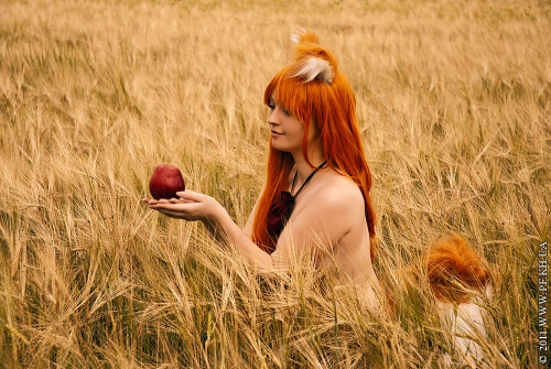 DSC_702833ad0bde235677a2