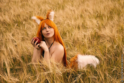 DSC_70498c1366f87a418063