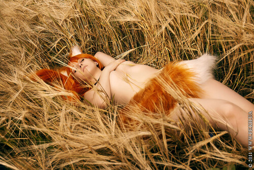 DSC_7125db032e239525478a