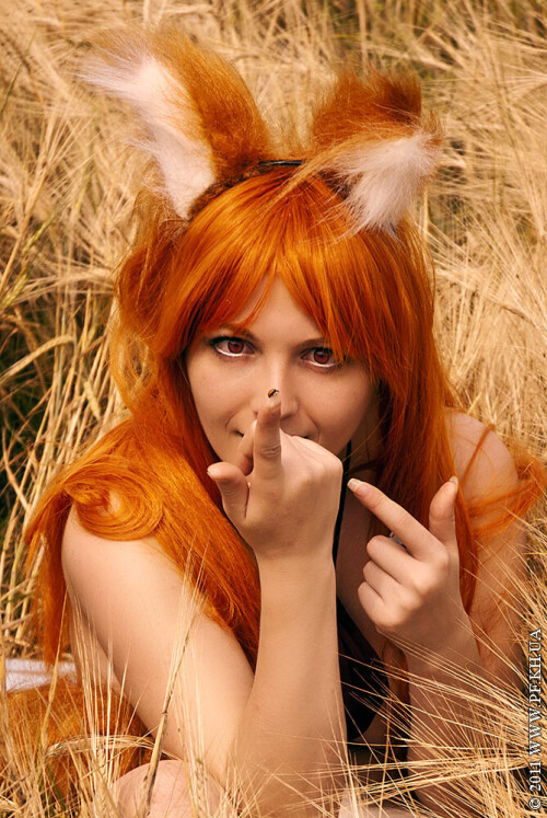 DSC_71323211bd2c704e6806