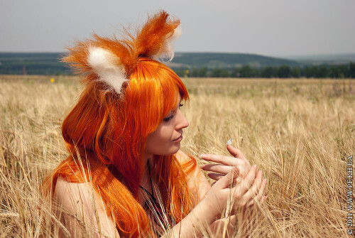 DSC_715616ce8549712ba9ba