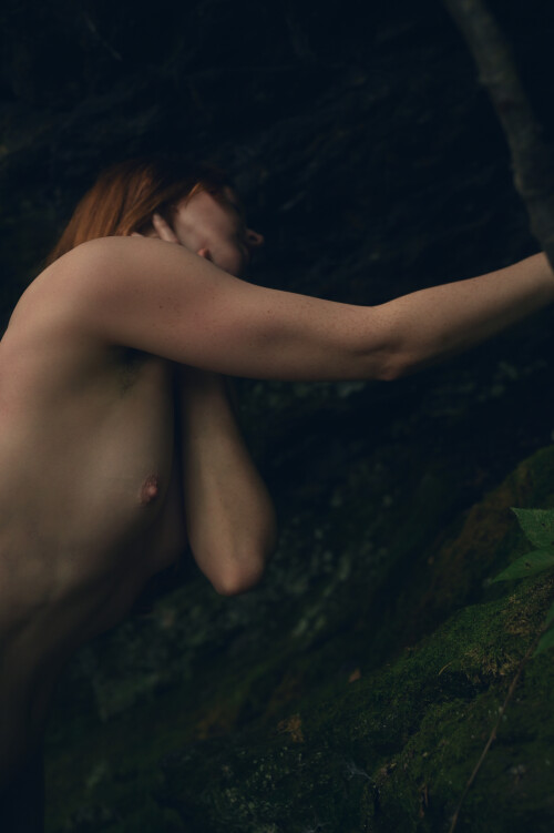 DSC 9627 132181f1763448e74