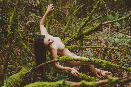 Dahlia Datura IMG 5089 1bfaa0b1b3ad74d2e