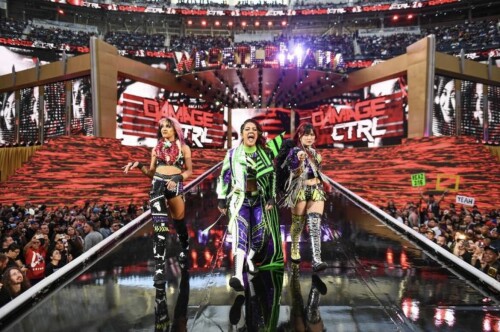 Damage Ctrl WM 393ad45e736299856c