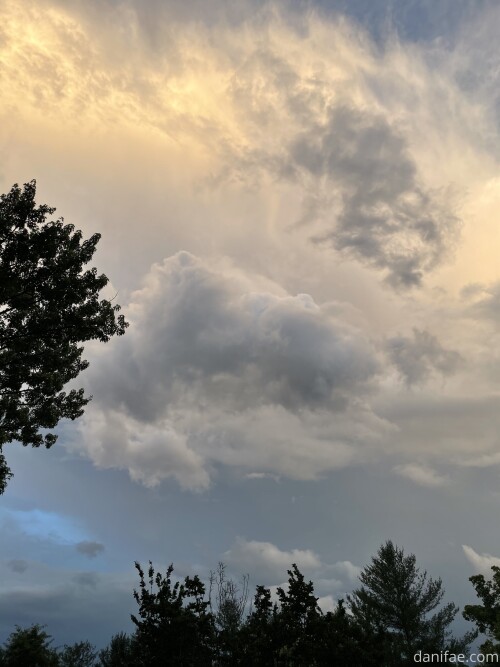 Danifae pic 0018188e82f45214662f