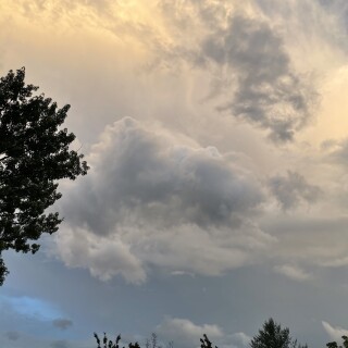 Danifae_pic_0018188e82f45214662f