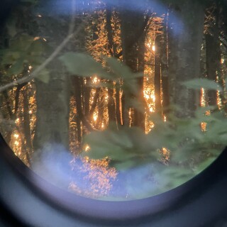 Danifae_pic_04237a1ba4d1b5282f7d