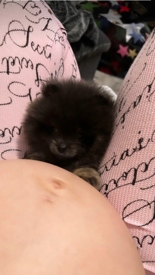 Df79ojew6v4yib28d96cde7c0f8ac