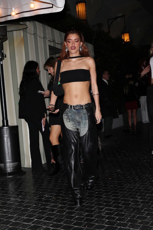 Dixie_April18th_2025_52a58c6ed1126955a