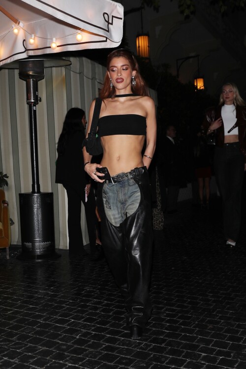 Dixie_April18th_2025_870da5fc35162447d