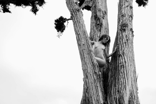 E117A975 DCEF 4997 B0D7 AA8C2B6B62C0