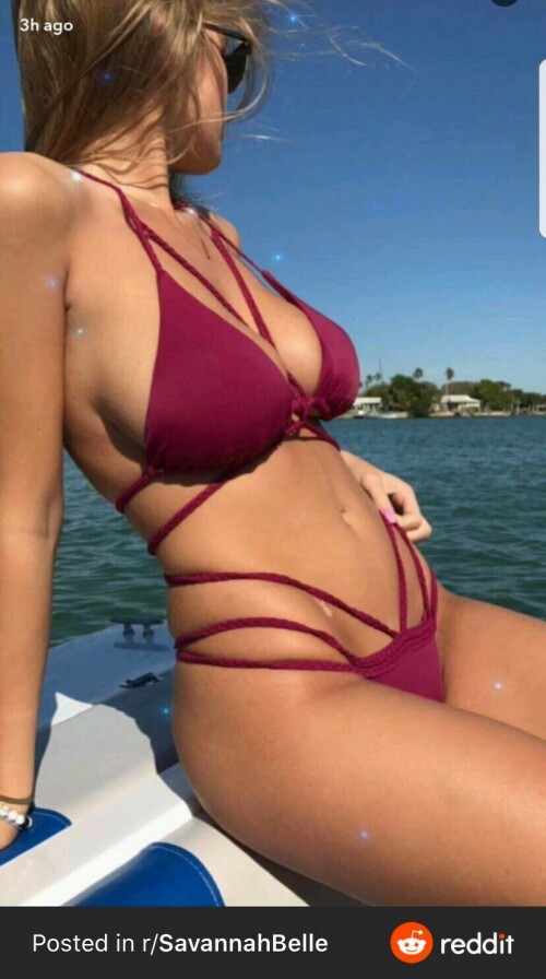 E6973A7C 8291 4650 AAB5 03A113D1C216