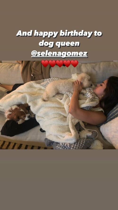 E9291401 B567 408D B465 DEB33B3CA782.jpeg