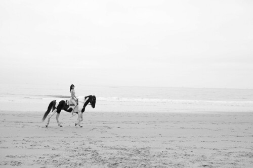 EECF859A 24C1 4921 8D49 E42298898A70